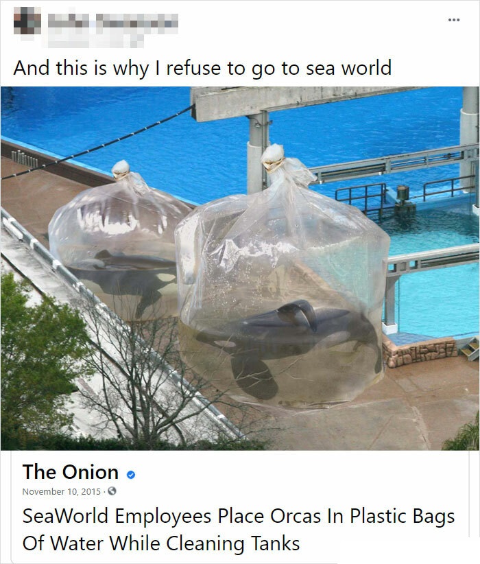 sea world meme - . And this is why I refuse to go to sea world The Onion SeaWorld Employees Place Orcas In Plastic Bags Of Water While Cleaning Tanks