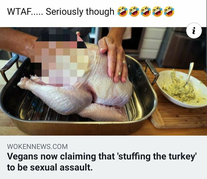 vegans now claiming that stuffing the turkey - Wtaf..... Seriously though .N Wokennews.Com Vegans now claiming that 'stuffing the turkey' to be sexual assault.