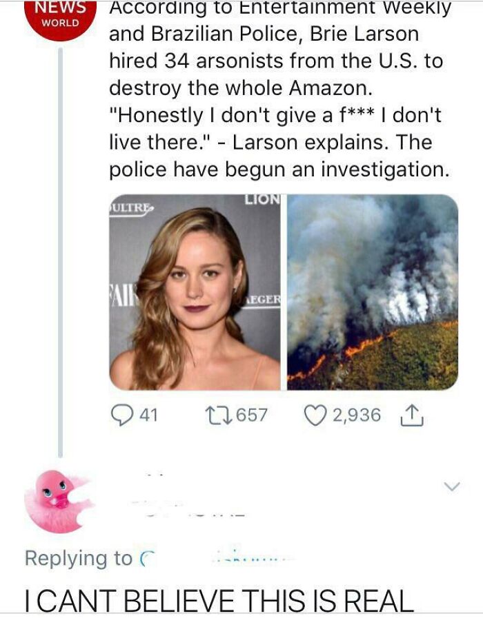 smile - News According to Entertainment Weekly World and Brazilian Police, Brie Larson hired 34 arsonists from the U.S. to destroy the whole Amazon. "Honestly I don't give a f I don't live there." Larson explains. The police have begun an investigation. L