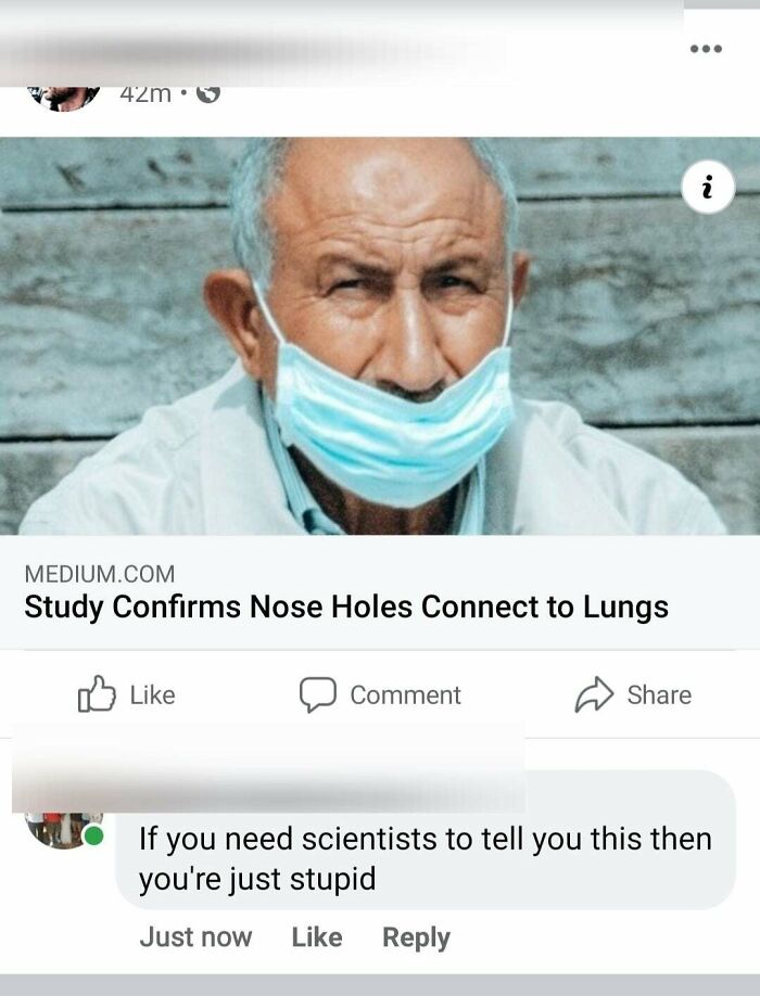 study confirms nose holes connect to lungs - 42m. i Medium.Com Study Confirms Nose Holes Connect to Lungs Comment you need scientists to tell you this then you're just stupid Just now