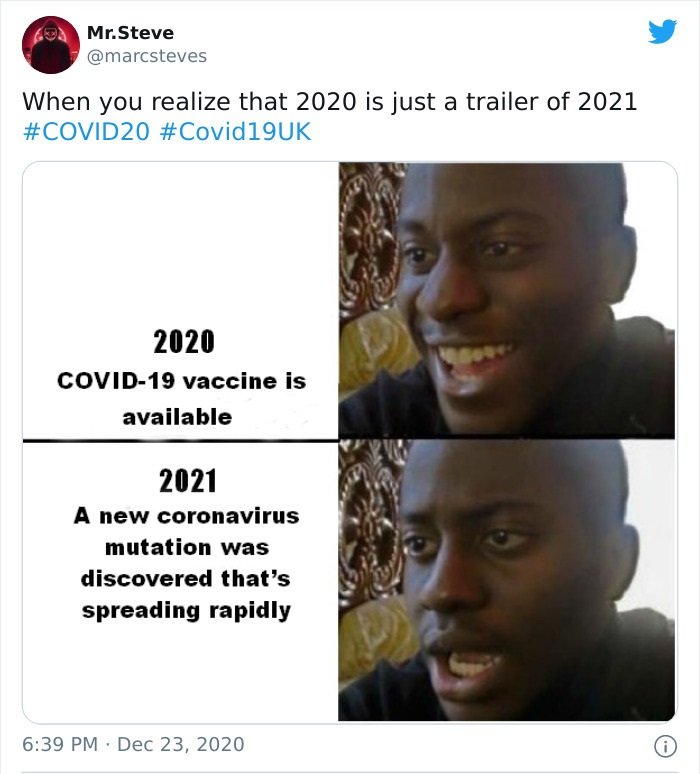 hermitcraft memes - Oa Mr.Steve When you realize that 2020 is just a trailer of 2021 2020 Covid19 vaccine is available 2021 A new coronavirus mutation was discovered that's spreading rapidly