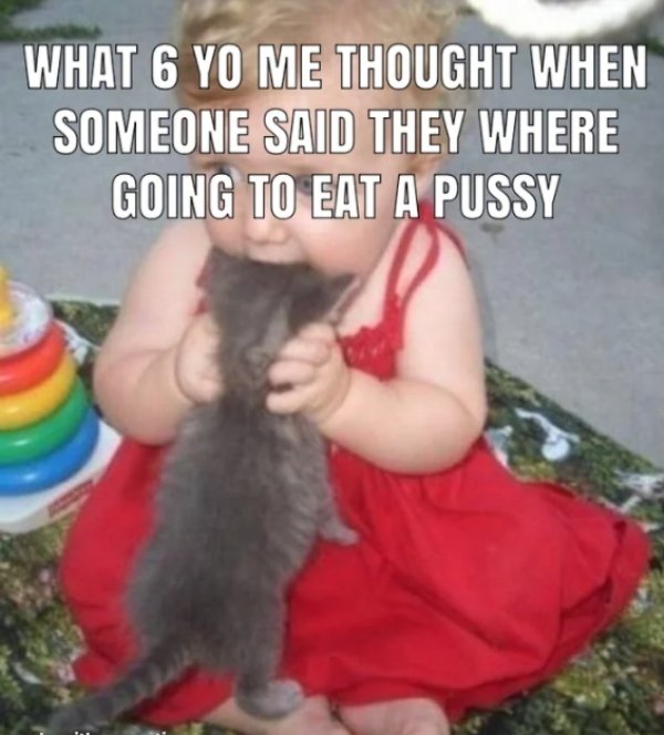 baby eating kitten - What 6 Yo Me Thought When Someone Said They Where Going To Eat A Pussy