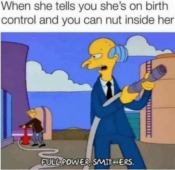 When she tells you she's on birth control and you can nut inside her Tot Full Power Smithers.