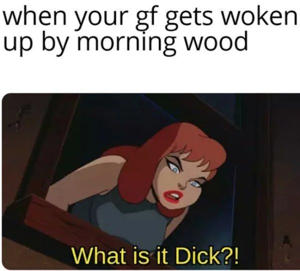 cartoon - when your gf gets woken up by morning wood What is it Dick?!