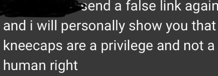 send a false link again and i will personally show you that kneecaps are a privilege and not a human right