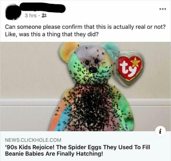 beanie babies spider eggs - 3 hrs Can someone please confirm that this is actually real or not? , was this a thing that they did? i News.Clickhole.Com '90s Kids Rejoice! The Spider Eggs They Used To Fill Beanie Babies Are Finally Hatching!