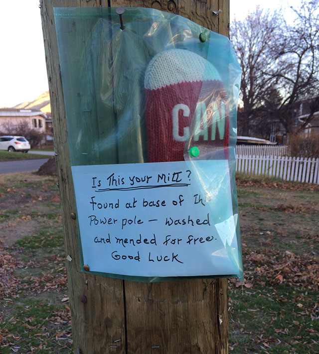 tree - Can Is This your Mitt? found at base of the Power pole Washed and mended for free. Good Luck