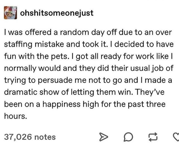 document - ohshitsomeonejust I was offered a random day off due to an over staffing mistake and took it. I decided to have fun with the pets. I got all ready for work I normally would and they did their usual job of trying to persuade me not to go and I m
