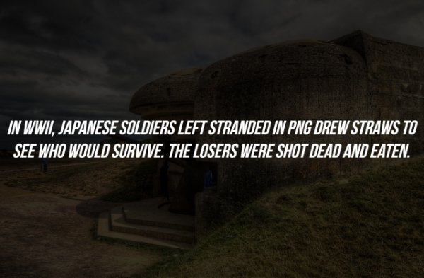 ay not dead invierno 2011 - In Wwii, Japanese Soldiers Left Stranded In Png Drew Straws To See Who Would Survive. The Losers Were Shot Dead And Eaten.