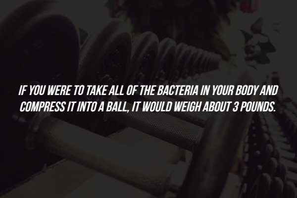 darkness - If You Were To Take All Of The Bacteria In Your Body And Compress It Into A Ball, It Would Weigh About 3 Pounds.