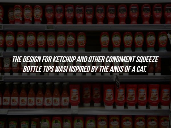 Ketchup - The Design For Ketchup And Other Condiment Squeeze Bottle Tips Wasi Nspired By The Anus Of A Cat. Chile C