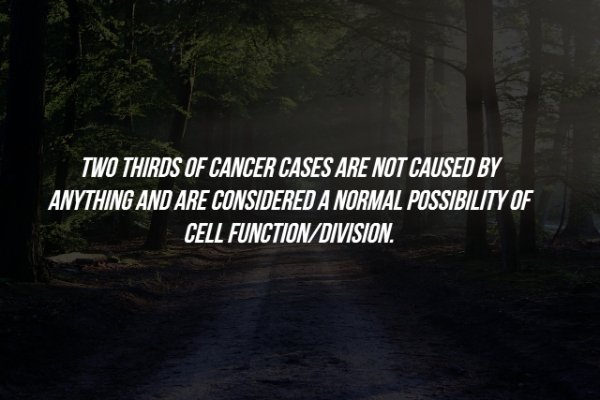 nature - Two Thirds Of Cancer Cases Are Not Caused By Anything And Are Considered A Normal Possibility Of Cell FunctionDivision.