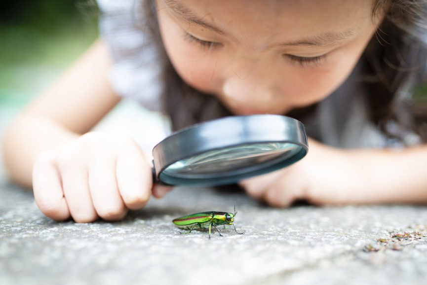 weird societal norms - young girl looking at bug through magnifying glass
