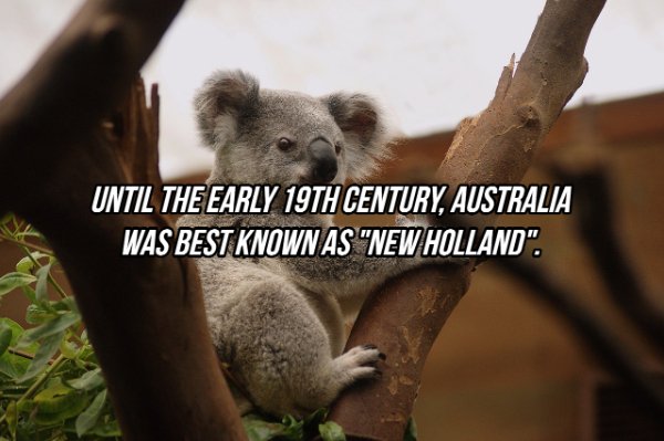 Until The Early 19TH Century, Australia Was Best Known As "New Holland".