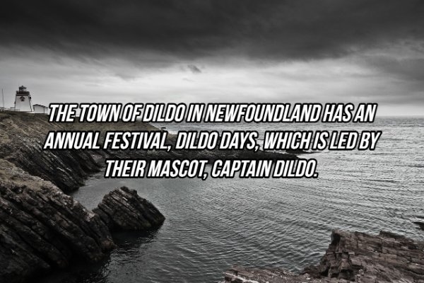 sea - The Town Of Dildo In Newfoundland Hasan Annual Festival, Dildo Days, Which Is Led By Their Mascot, Captain Dildo.