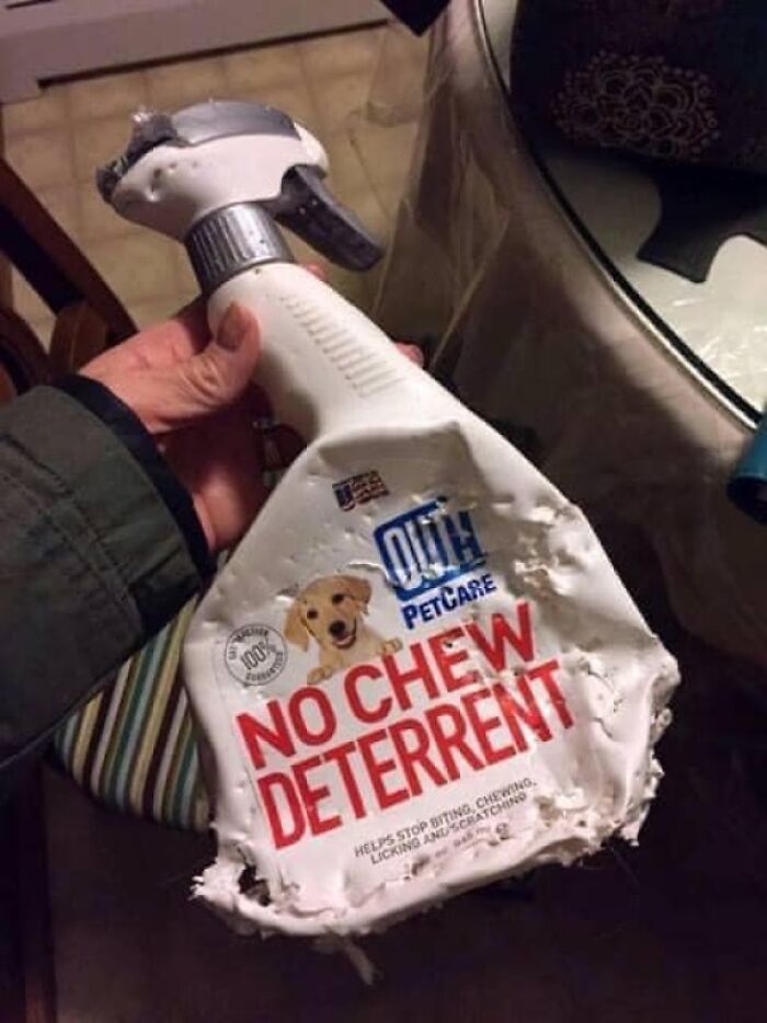 no chew deterrent - Petcare 100% No Chew Deterrent Helps Stop Bitino, Chewing Licking And Schatchino