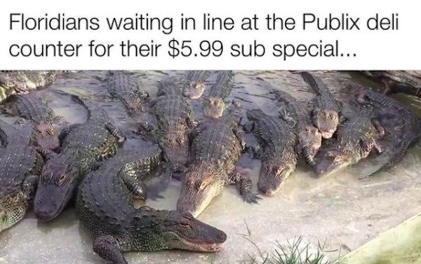 funny florida memes - Floridians waiting in line at the Publix deli counter for their $5.99 sub special...