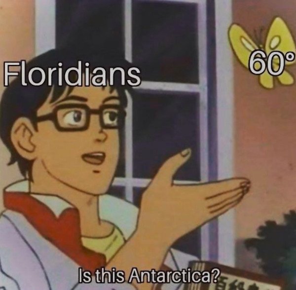funny florida memes - Floridians 60 Is this Antarctica?