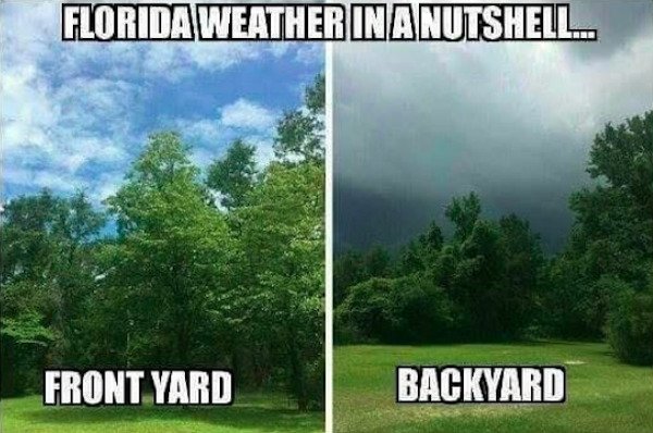 funny florida memes - Florida Weather In a Nutshell.. Front Yard Backyard