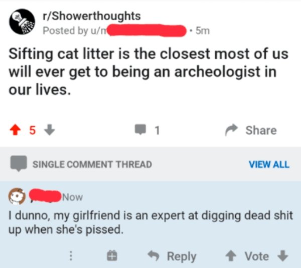 nfl helmets - 5m rShowerthoughts Posted by un Sifting cat litter is the closest most of us will ever get to being an archeologist in our lives. 5 Single Comment Thread View All Now I dunno, my girlfriend is an expert at digging dead shit up when she's pis