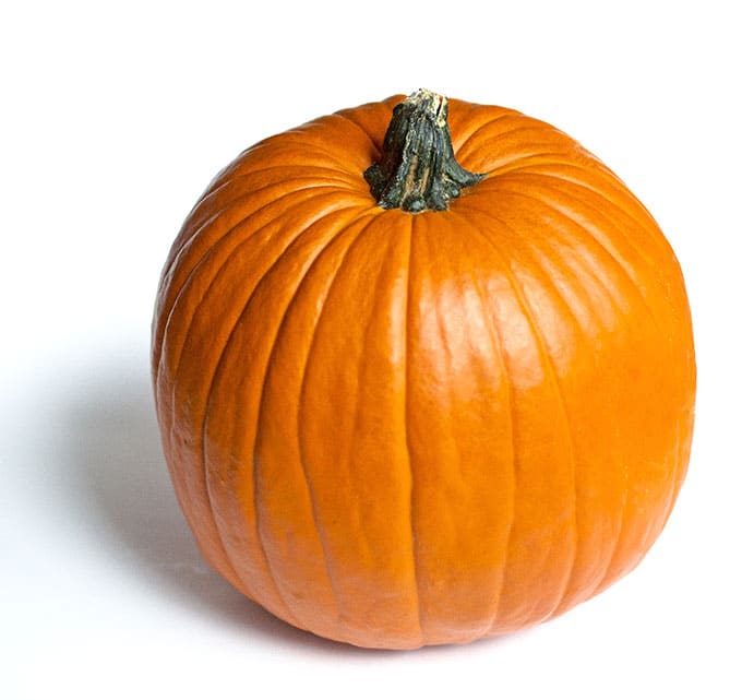 When picking pumpkins this year, secretly buy them beforehand at Aldi’s where it’s significant cheaper and put them in the trunk. Then, take the kids to the pumpkin patch and have them pick out their pumpkin and tell them the workers will put them in the trunk for them.