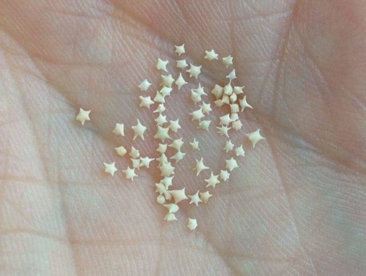 “The sand in Okinawa, Japan contains thousands of tiny "stars". These "grains of sand" are actually exoskeletons of marine protozoa, which lived on the ocean floor 550 million years ago.”