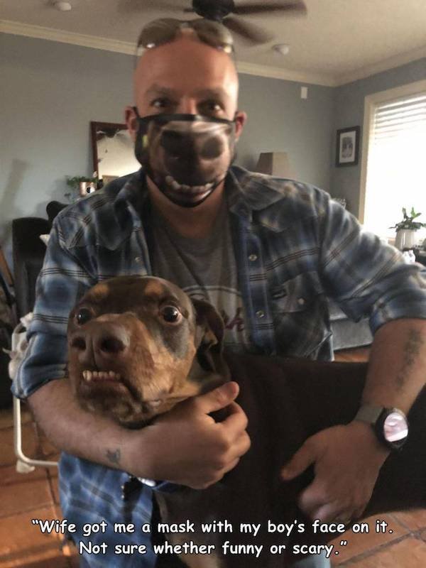 dog - "Wife got me a mask with my boy's face on it. Not sure whether funny or scary."