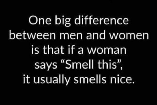 one big difference between men and women - One big difference between men and women is that if a woman says Smell this", it usually smells nice.