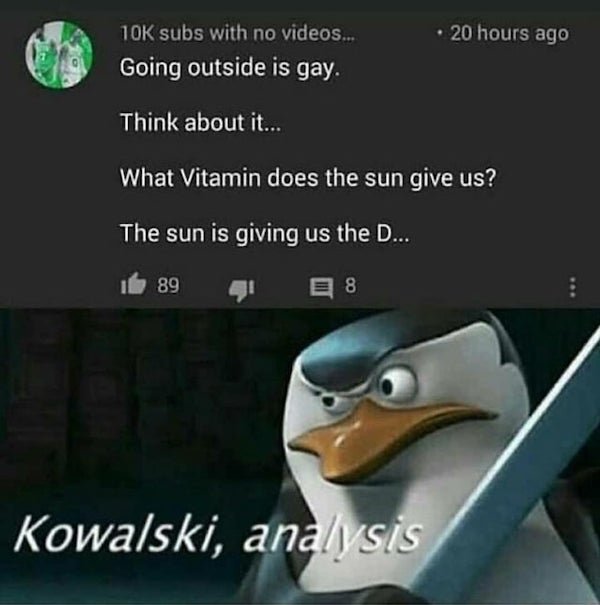 kowalski meme - 20 hours ago 10K subs with no videos... Going outside is gay. Think about it... What Vitamin does the sun give us? The sun is giving us the D... it 89 E 8 Kowalski, analysis