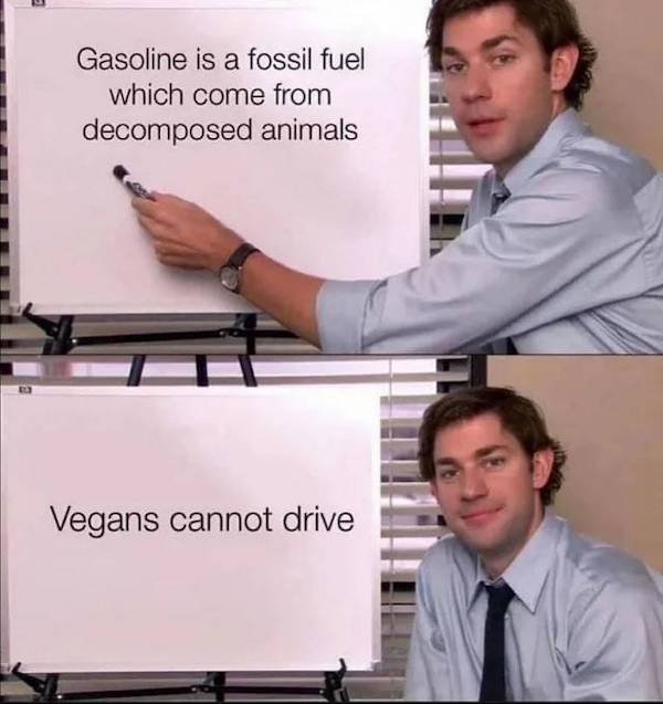 barbara walters 2020 meme - Gasoline is a fossil fuel which come from decomposed animals Vegans cannot drive