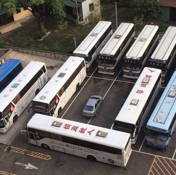 funny bus parking memes