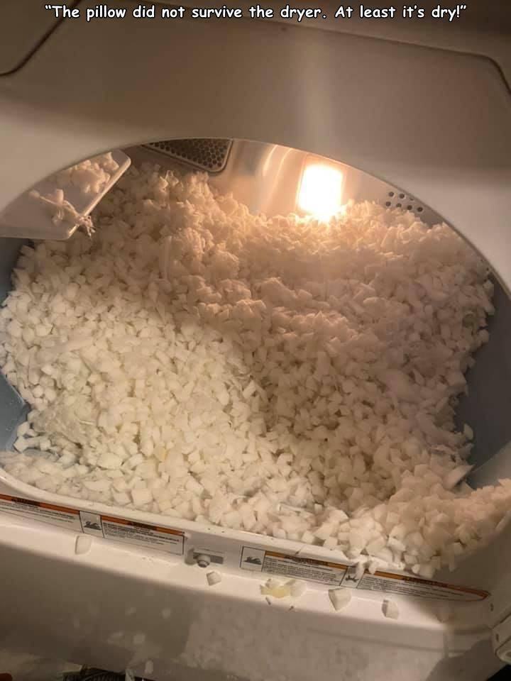 white rice - "The pillow did not survive the dryer. At least it's dry!"