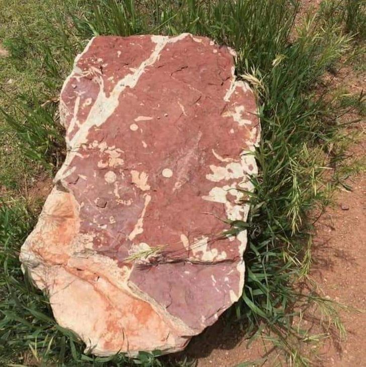 funny food pics - boulder that looks like steak meat