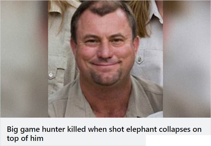 elephant falls on hunter - Big game hunter killed when shot elephant collapses on top of him