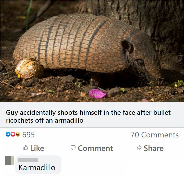 karmadillo meme - Guy accidentally shoots himself in the face after bullet ricochets off an armadillo 00 695 70 Comment Karmadillo