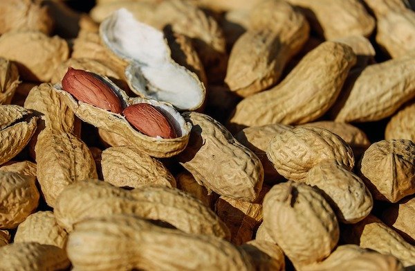nuts that increase sperm count