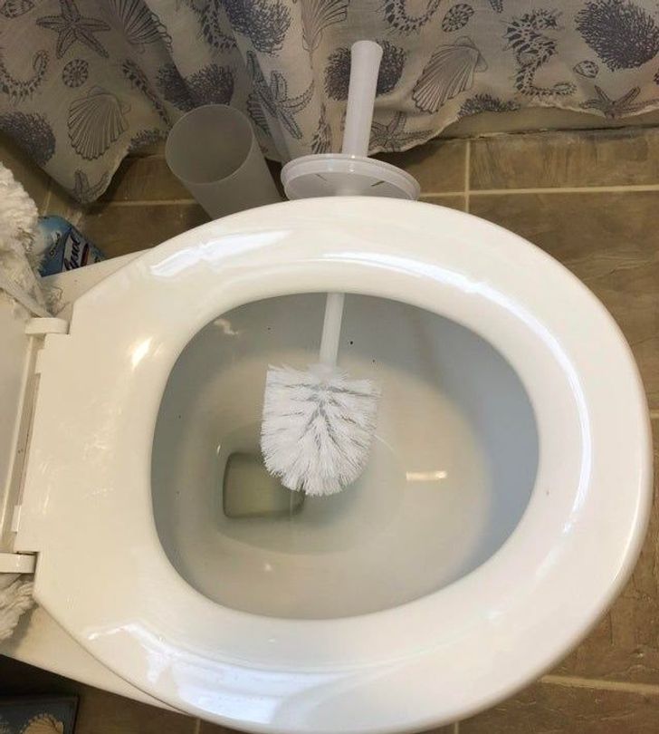 dry toilet brush