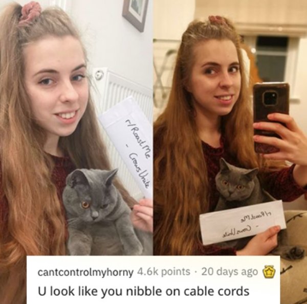 savage roasts - blond - rRoast me Crows Unite cantcontrolmyhorny points 20 days ago U look you nibble on cable cords