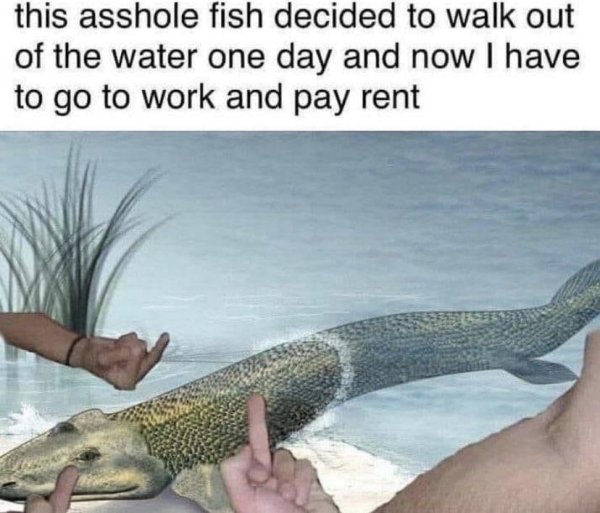 funny jokes - this asshole fish decided to walk out of the water one day and now I have to go to work and pay rent