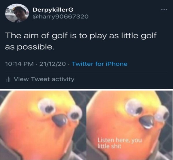 funny jokes - listen here you little sh ** meme - The aim of golf is to play as little golf as possible.