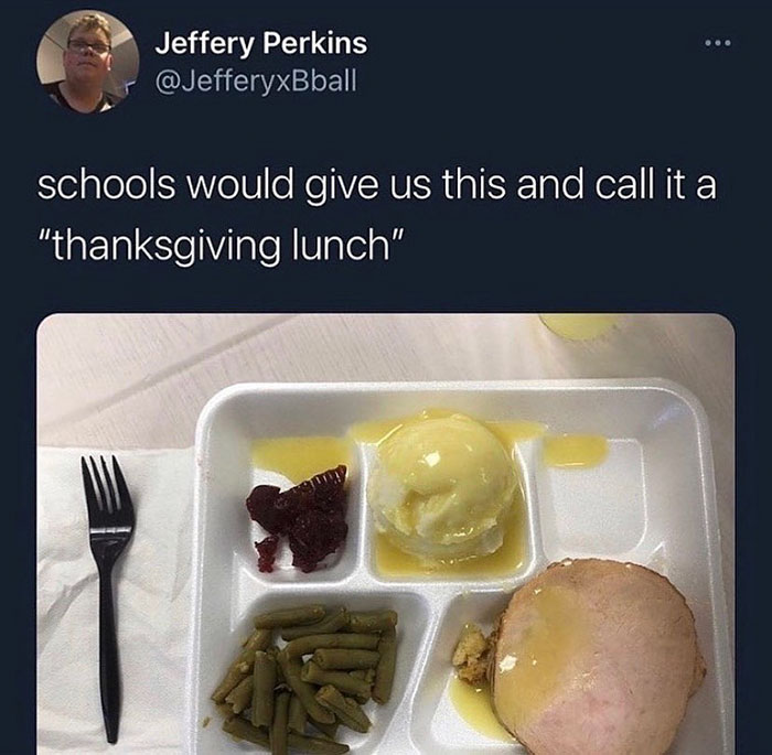 funny nostalgic memes - schools would give us this and call it a thanksgiving lunch