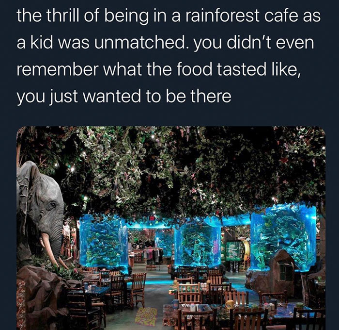 funny nostalgic memes - rainforest cafe fish tank - the thrill of being in a rainforest cafe as a kid was unmatched. you didn't even remember what the food tasted , you just wanted to be there
