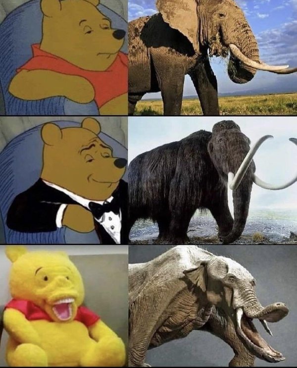 elephants and mammoths