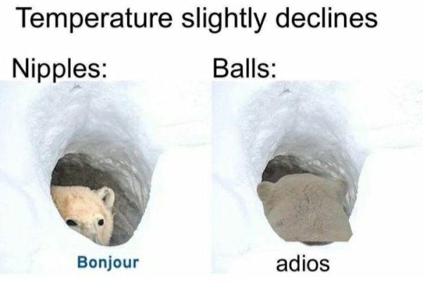 snout - Temperature slightly declines Nipples Balls Bonjour adios