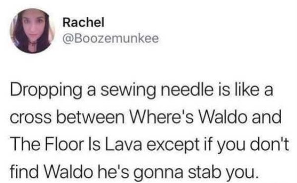 dropping a sewing needle meme - Rachel Dropping a sewing needle is a cross between Where's Waldo and The Floor Is Lava except if you don't find Waldo he's gonna stab you.