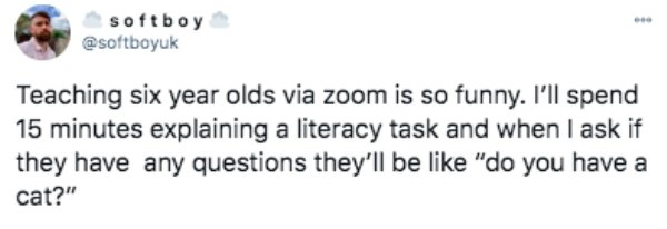 paper - softboy Teaching six year olds via zoom is so funny. I'll spend 15 minutes explaining a literacy task and when I ask if they have any questions they'll be "do you have a cat?"