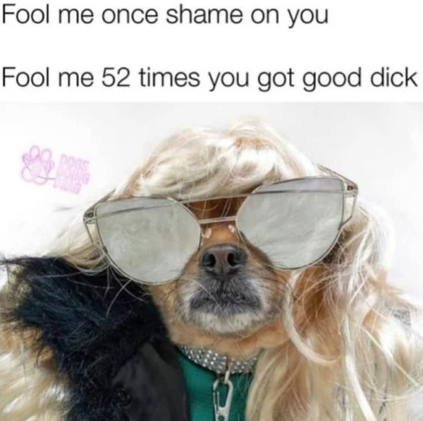 sex memes - dog - Fool me once shame on you Fool me 52 times you got good dick