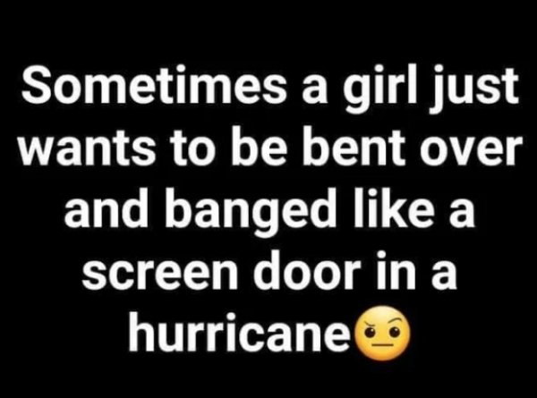 sex memes - smile - Sometimes a girl just wants to be bent over and banged a screen door in a hurricane
