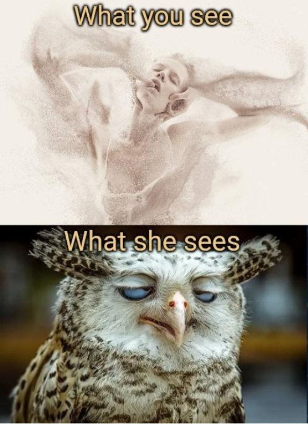 sex memes - high owl meme - What you see What she sees