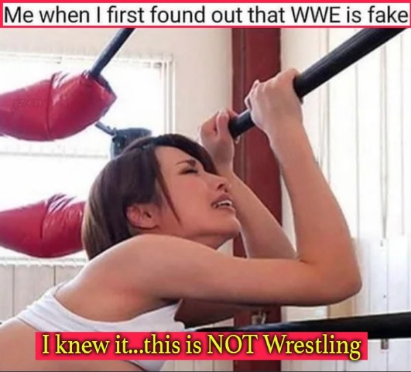 sex memes - girl - Me when I first found out that Wwe is fake I knew it...this is Not Wrestling